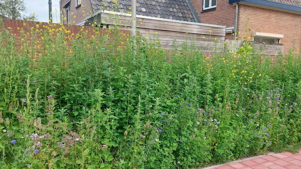 berm Margrietlaan 2