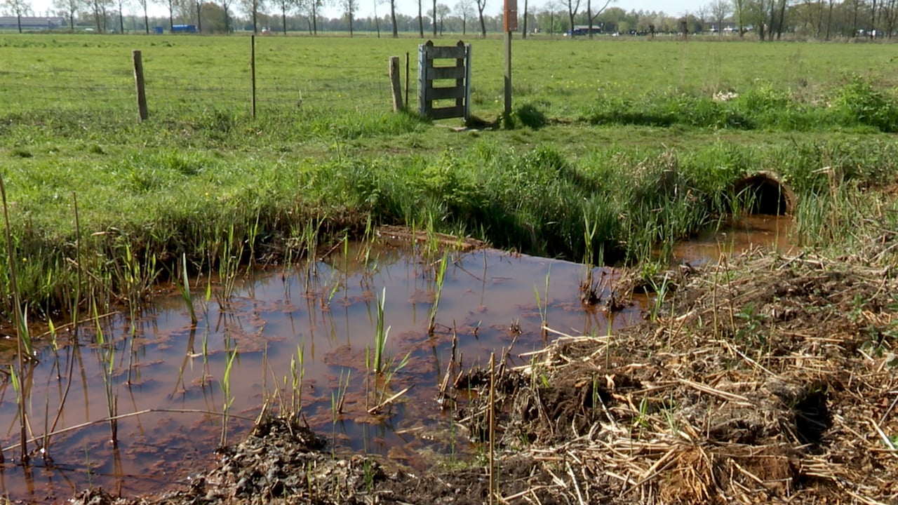 Item 1.00_00_33_35.Still002