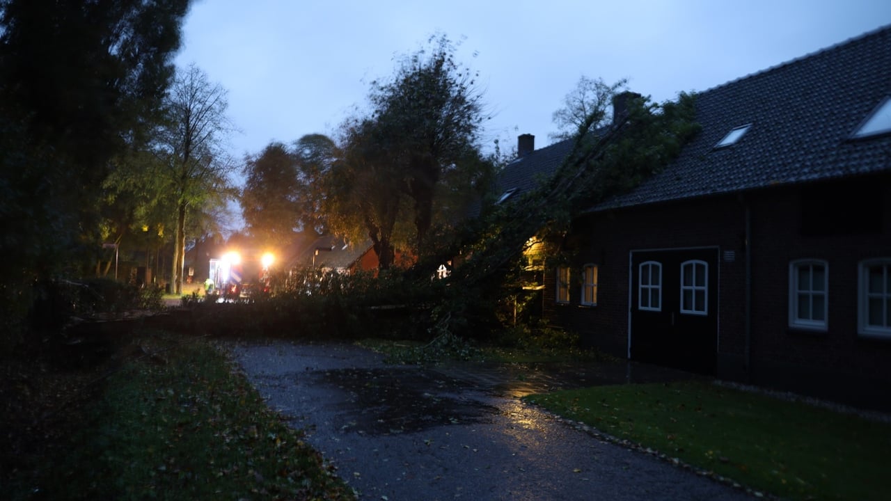 Storm Austen raast over de regio: boom valt door dak van woning