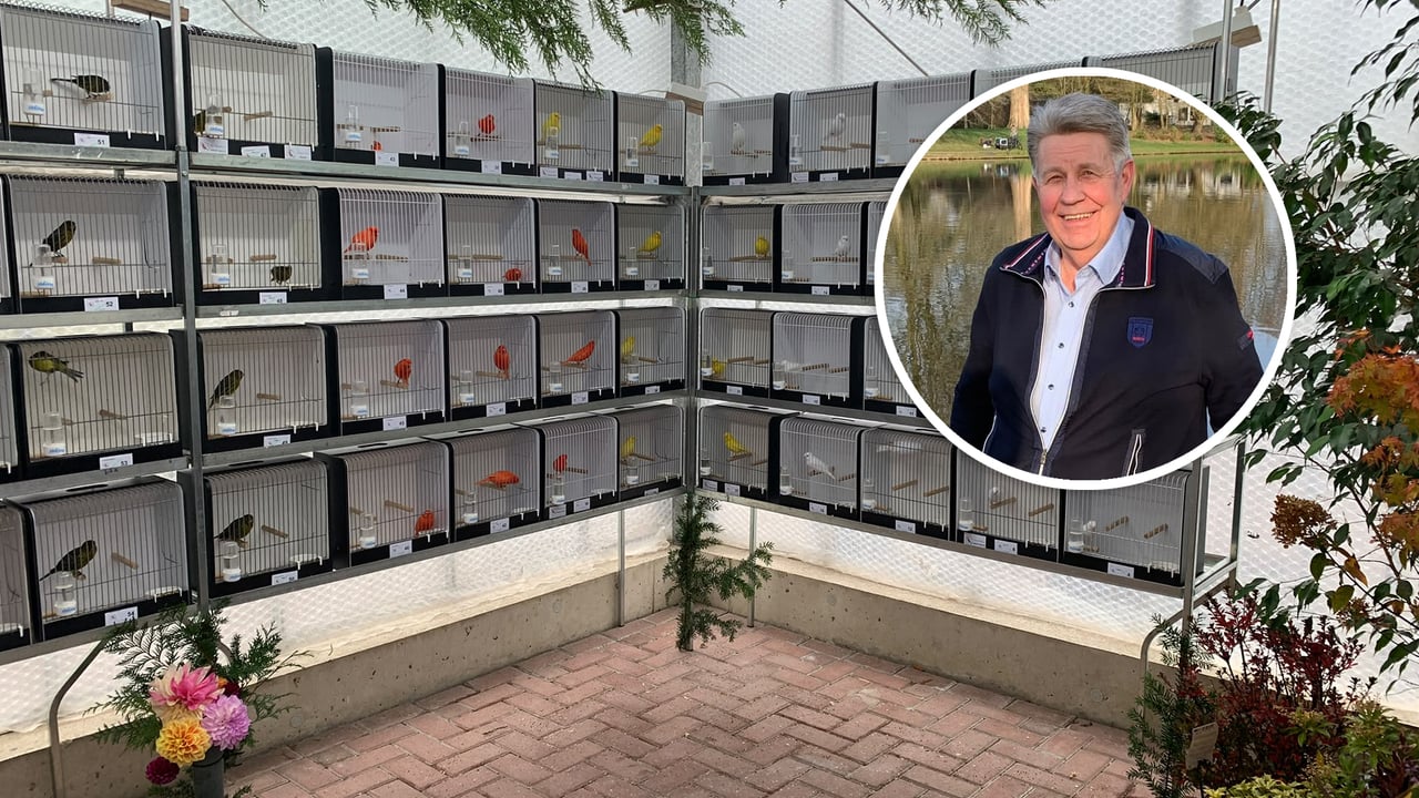 Streep door 61e editie van vogelshow: 'Moeilijke, maar achteraf gezien juiste beslissing'