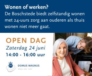 Banner Domus Magnus Open dag 2023 Site