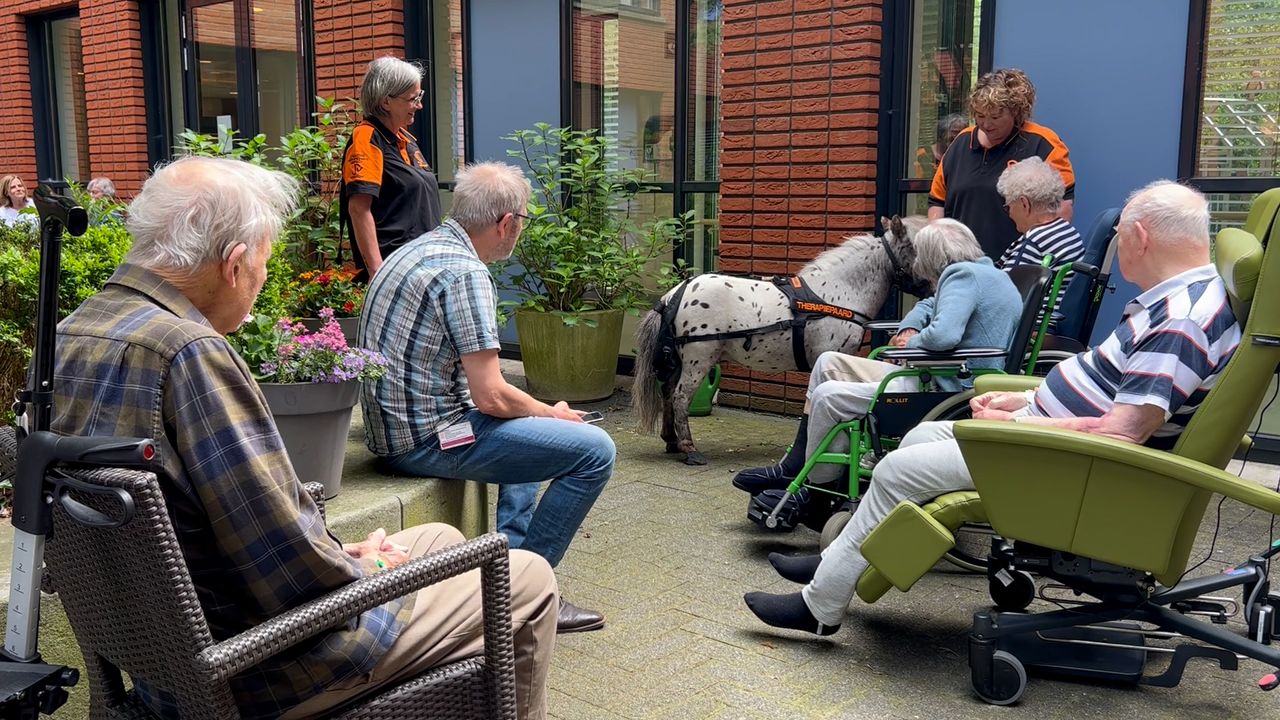 Geriatrie-afdeling van Jeroen Bosch Ziekenhuis verrast door bezoek van therapiepaard Zippie