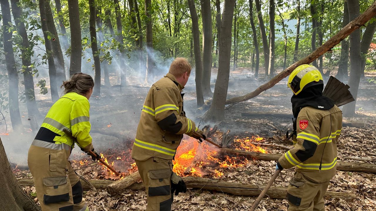 Uitbreidende bosbrand aan Heidijk in Vlijmen, verdachte aangehouden