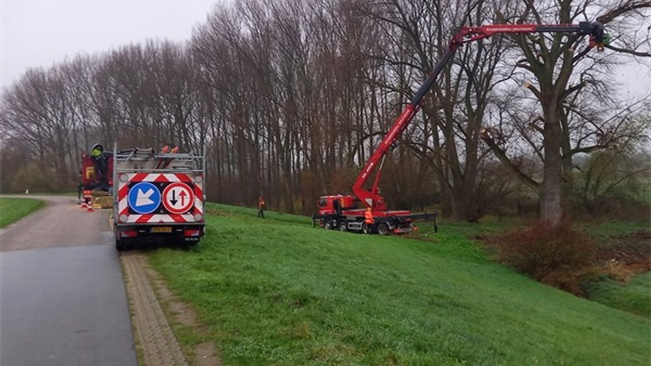 Waterschap gaat voor de veiligheid bomen rooien op Gemaalweg in Den Bosch