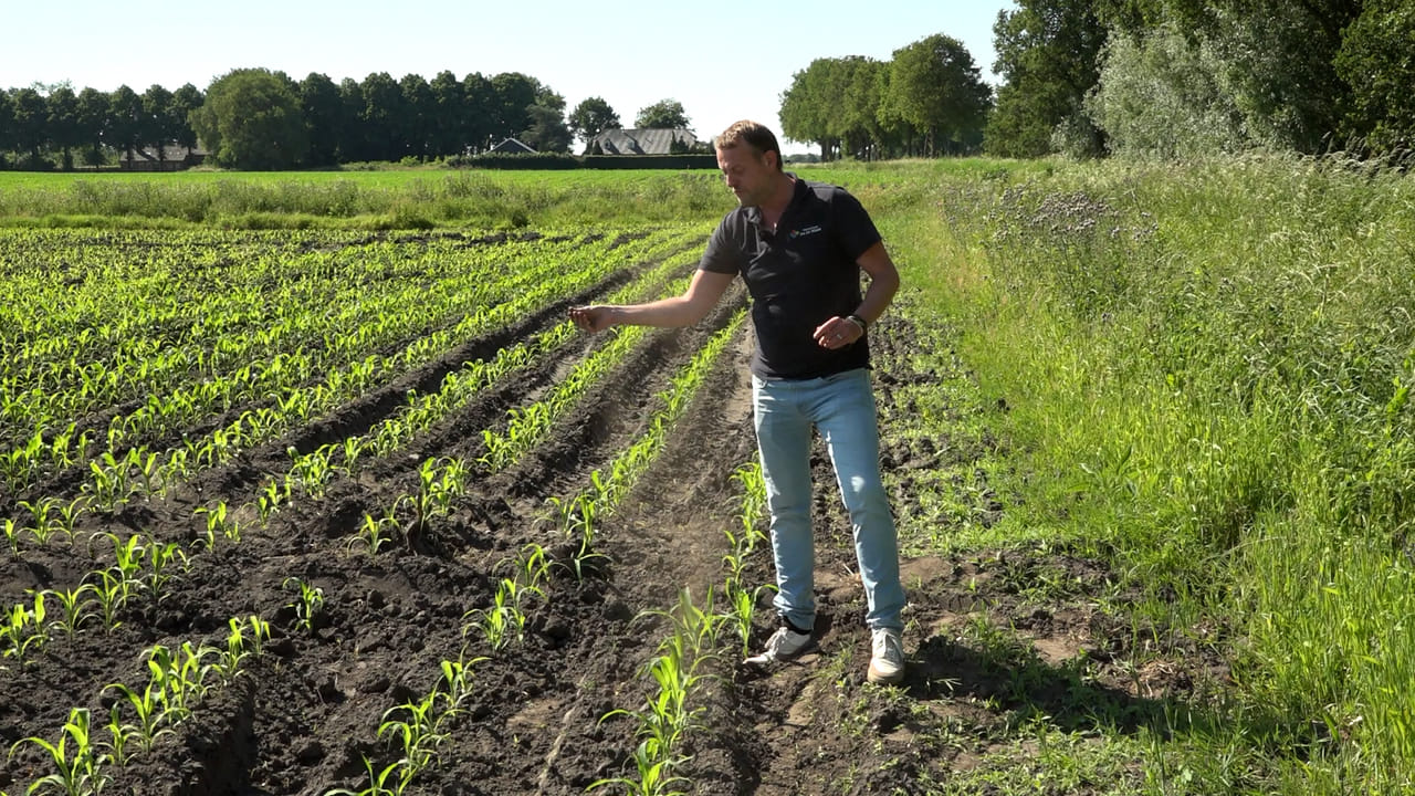 Aa en Maas neemt maatregelen tegen droogte, vanaf donderdag onttrekkingsverbod van kracht