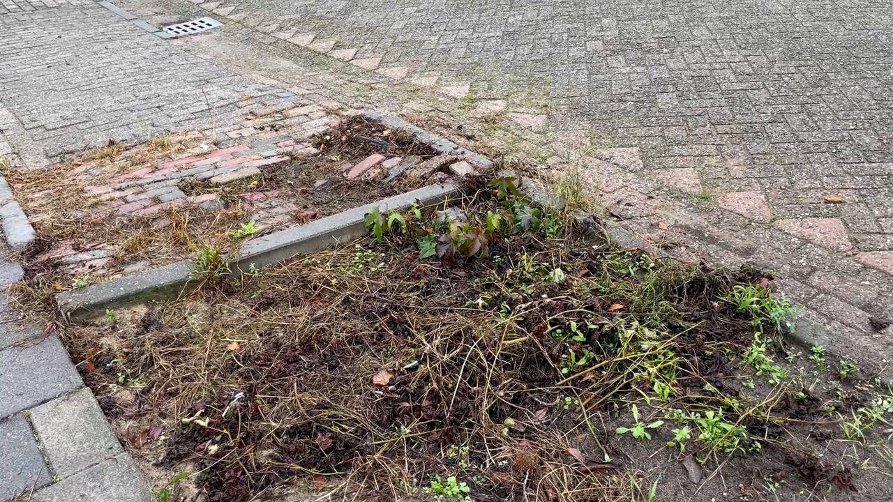 Verloedering in de straten van Rosmalen zorgt voor gevaarlijke situaties