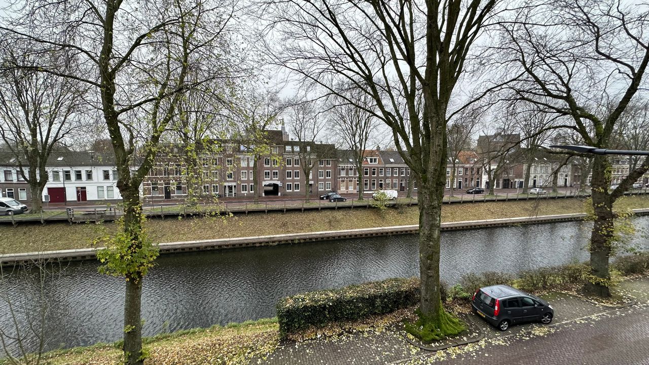 Meer groen en betere bescherming bomen Zuid-Willemsvaart in Den Bosch