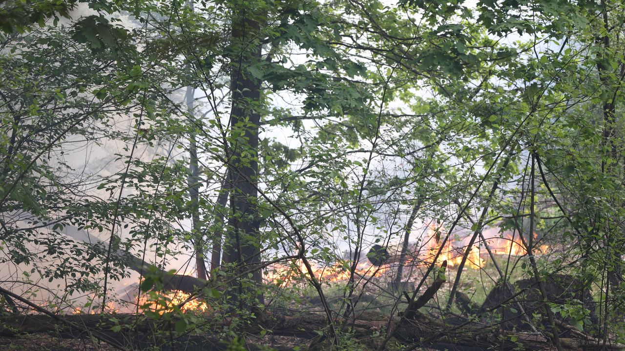 Bosbrand aan de rand van Herperduin; brandweer blust nog na