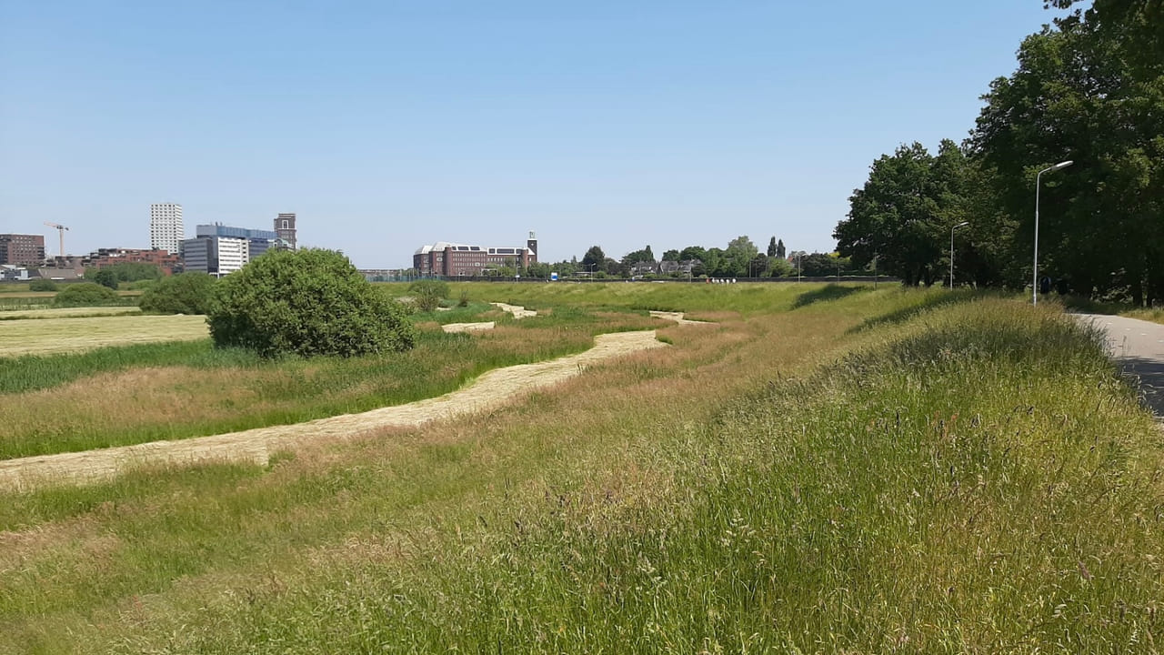 Waterschap ziet opgebouwde watervoorraad weer snel verdampen