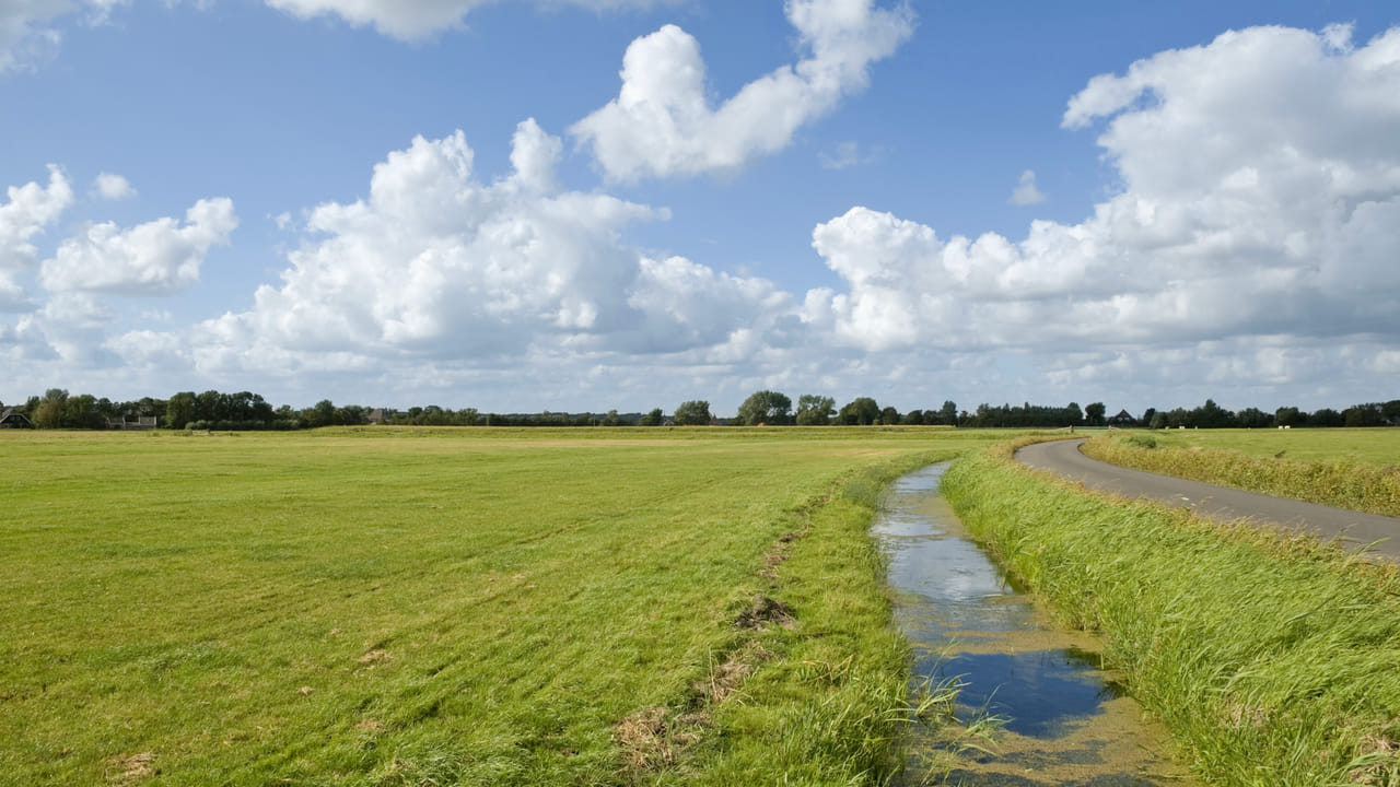 Brabantse waterschappen bezorgd over waterkwaliteit: ‘meer samenwerking nodig’