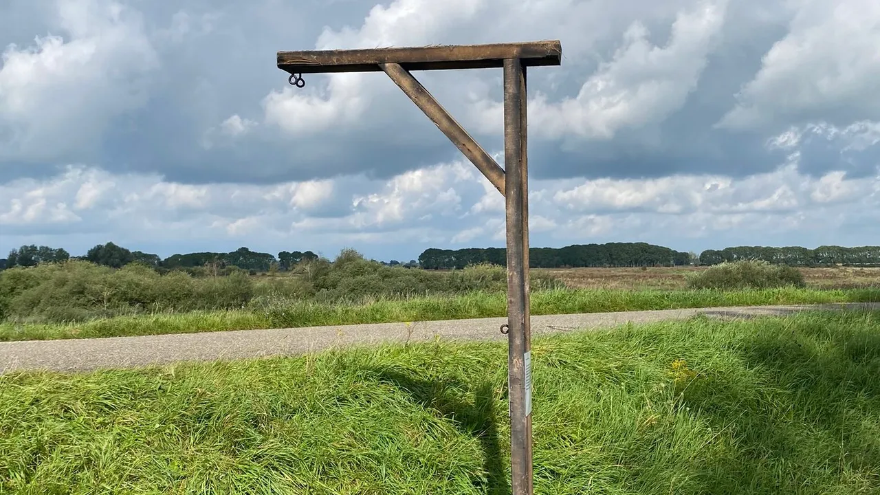 Dtv Nieuws - Mysterie van galg in Haren nog niet opgelost