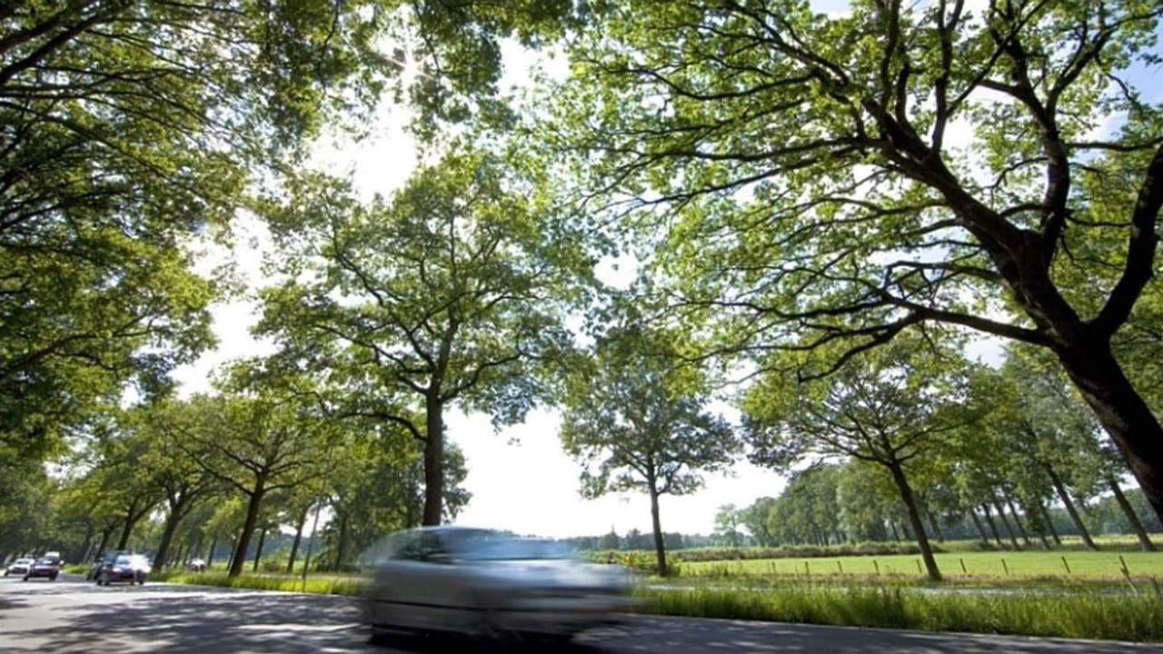 Protestvlaggen langs provinciale wegen worden weggehaald