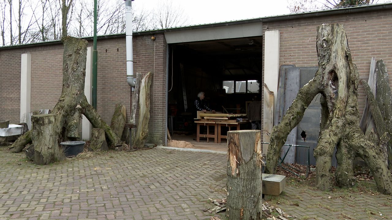 Gebrek aan hout zorgt voor problemen bij Stichting Stadshout Den Bosch: ‘Dit jaar voor het laatst’
