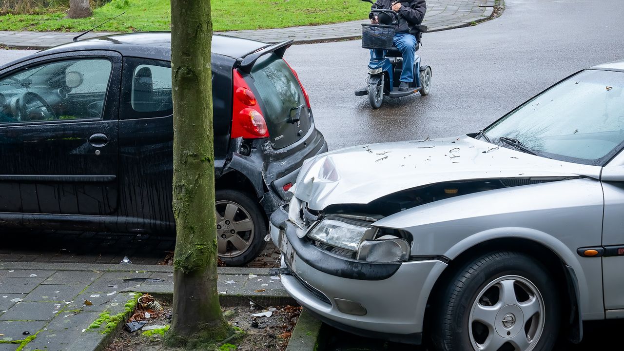 Dtv Nieuws - Denbosch