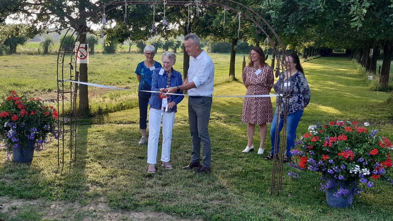 Dtv Nieuws Vijf kunstenaars uit Bernheze laten hun werk zien in