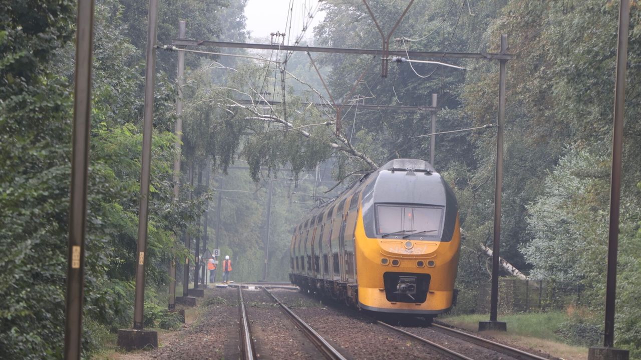 Heftige zomerstorm legt treinverkeer plat: boom valt op trein in Vught