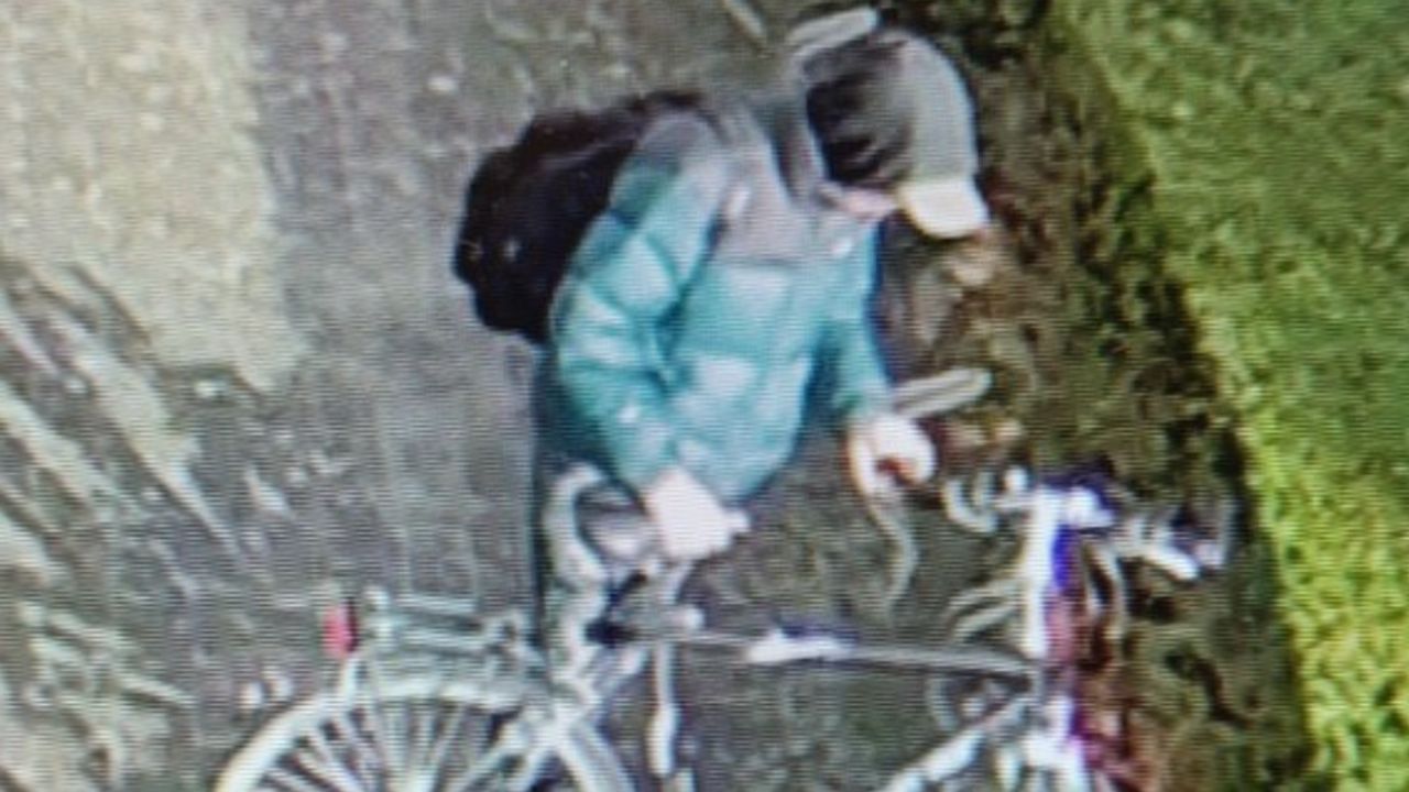 Politie Maashorst zet foto’s van fietsendieven online
