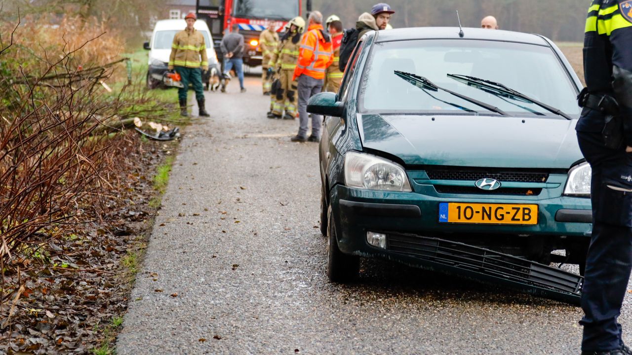 Auto rijdt tegen omgevallen boom aan in Nistelrode