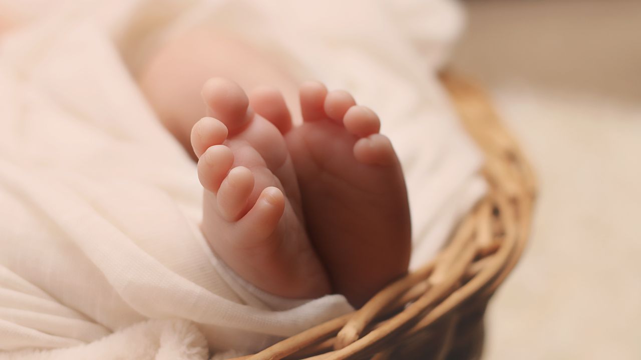 Jeroen Bosch Ziekenhuis verwelkomt 3327 baby’s in 2021
