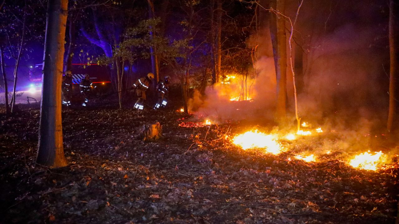 400 meter bos verloren gegaan bij brand in Zeeland