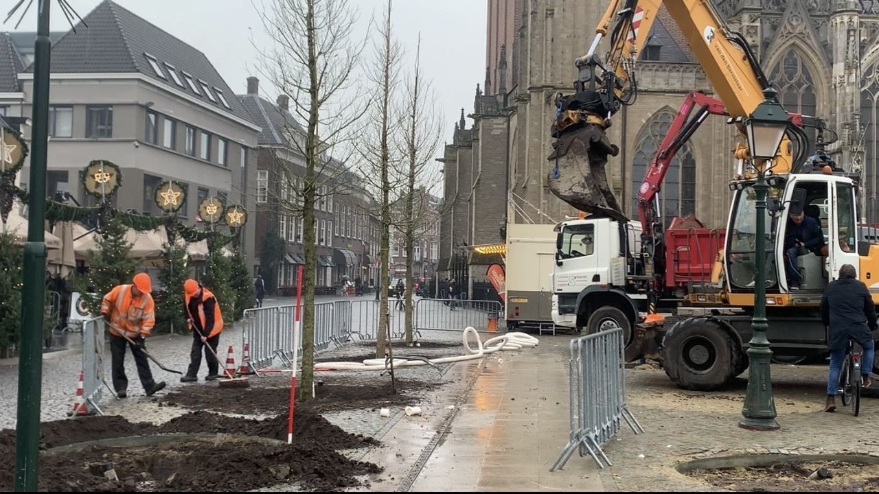 Nieuwe bomen op de Parade in Den Bosch