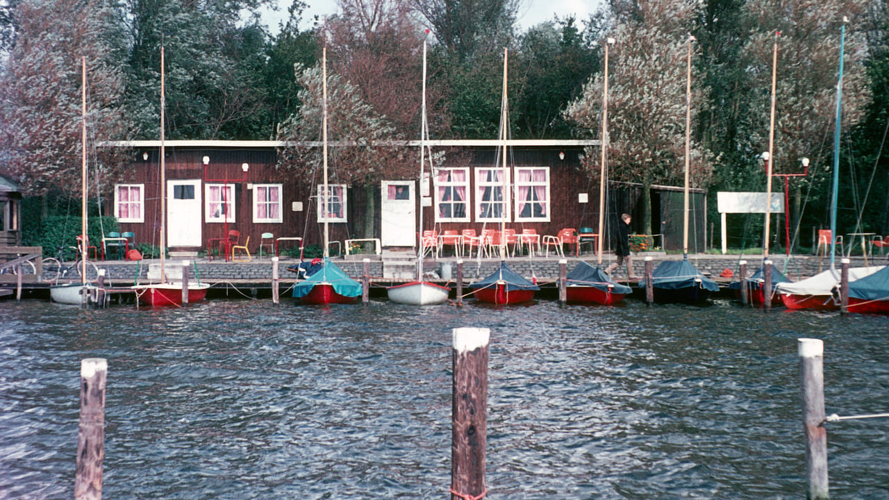Watersportvereniging de Pettelaer bestaat vijftig jaar 'Het wordt een heel groot feest'