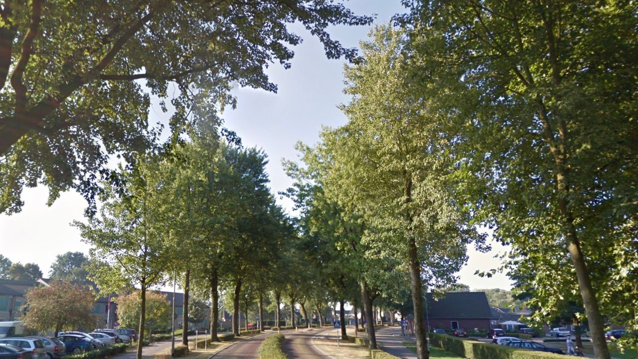 Bomenkap Sint Sebastianusstraat in Herpen lijkt onvermijdelijk