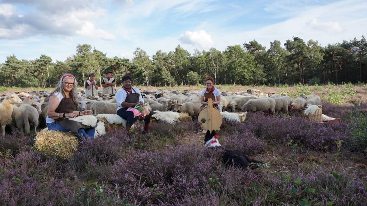 Landgoed Nabbegat in Zeeland decor van het NK schapendrijven