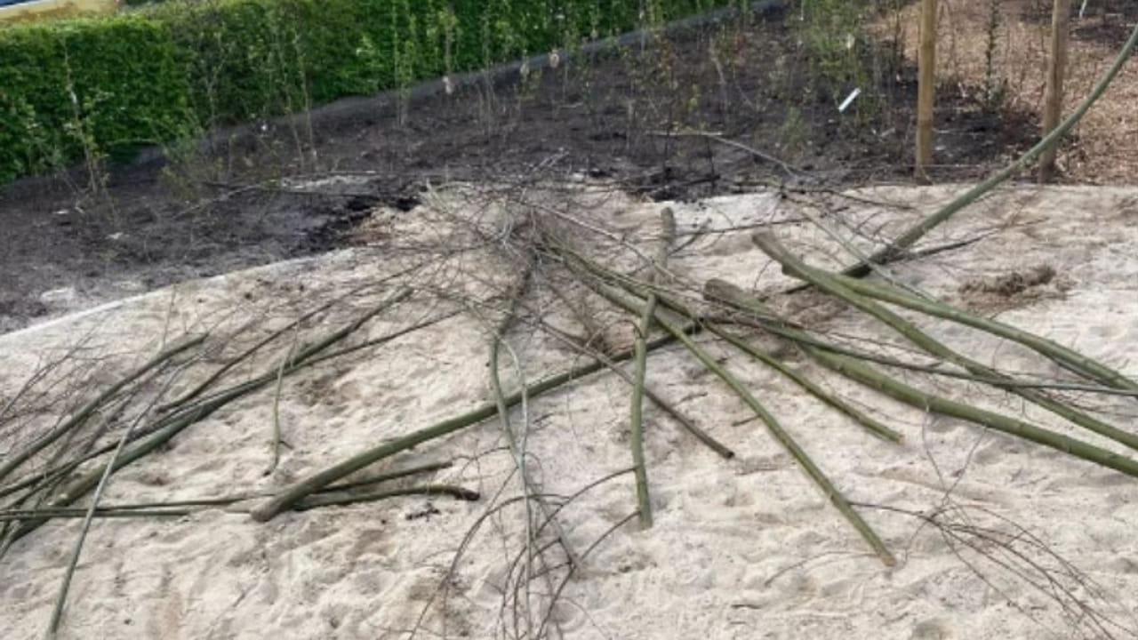Vandalen vernielen tiny forest van Osse basisscholen