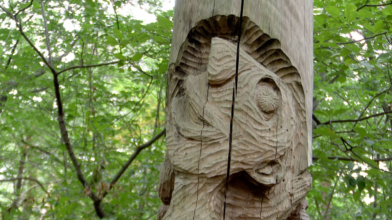 Kunstwerken in het bos: 'Een atelier in de natuur'
