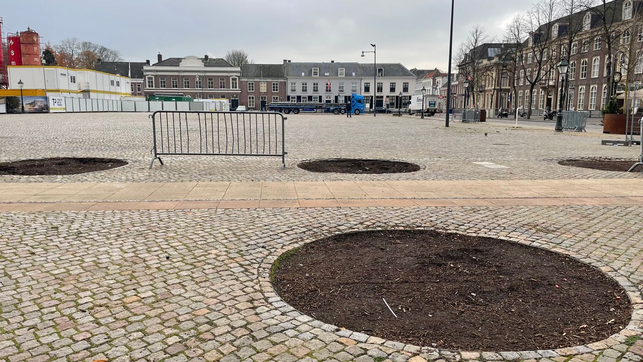 Parade in Den Bosch krijgt vanaf donderdag nieuwe bomen