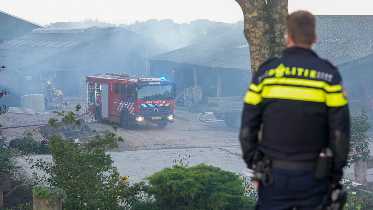 Brand in stal met zestig kalveren in Oijen