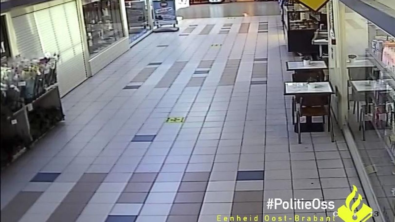 Politie zoekt getuigen mishandeling in winkelcentrum de Ruwert