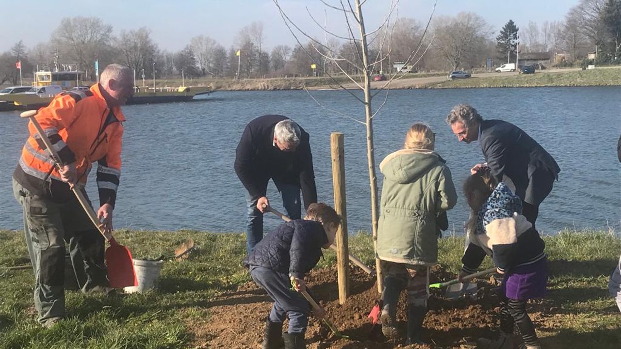 Wethouder en kinderen planten een van de eerste bakenbomen langs de Maas