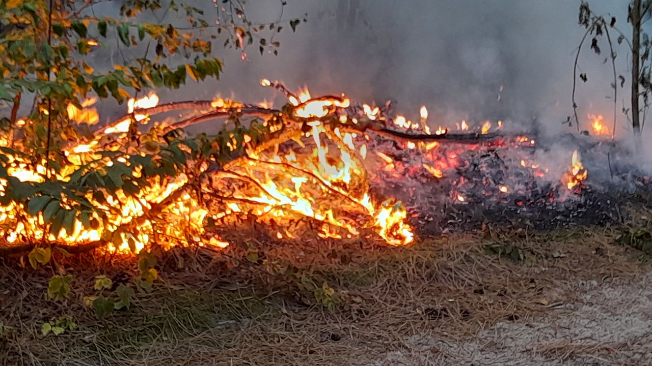 Flinke bosbrand bij Poeskespad in Uden, vuurkorf gevonden in het bos