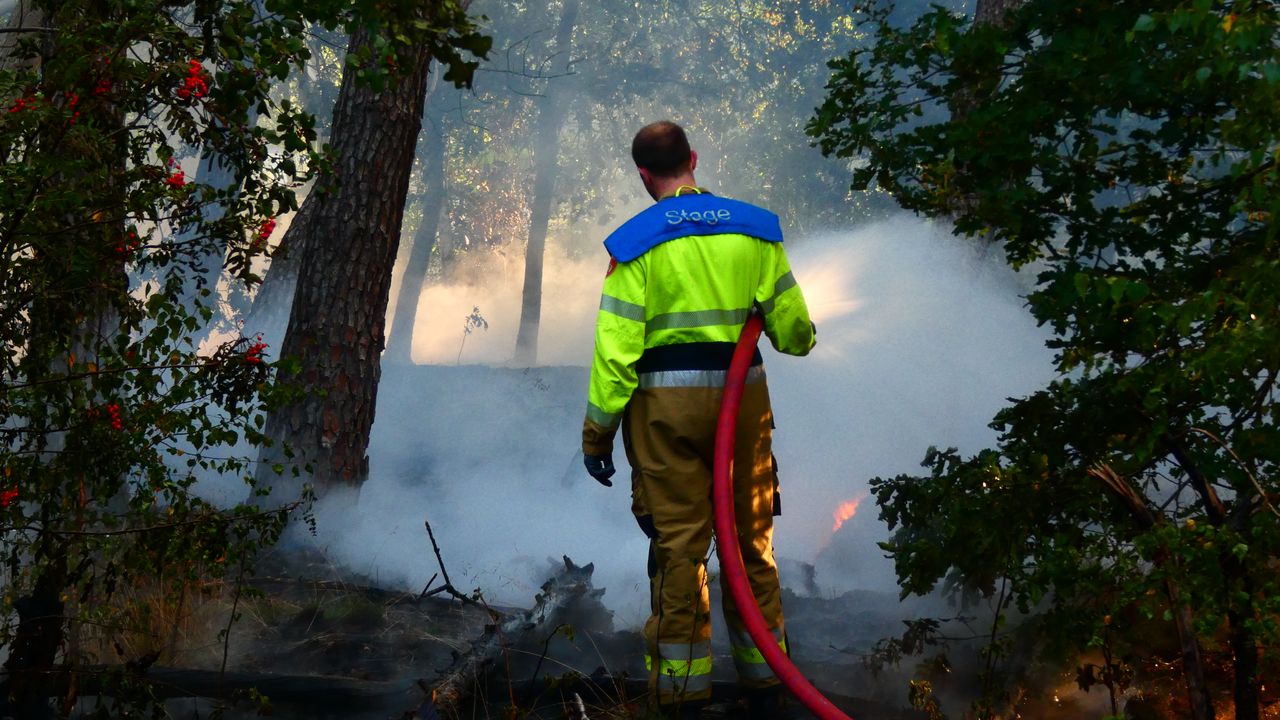 Brand in Geffense bossen in Oss zware klus voor de brandweer