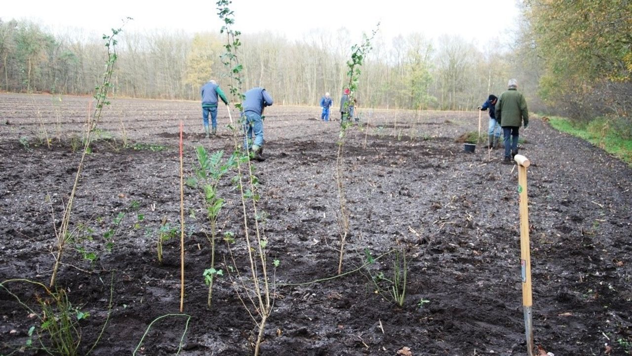 Vrijwilligers planten duizenden bomen in Uden