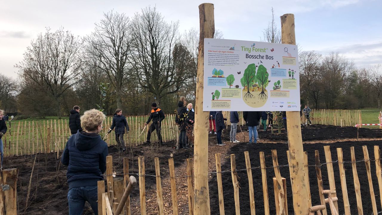 Vierde Tiny Forest geplant door leerlingen Sint Janslyseum en Kindcentrum de Zuiderster