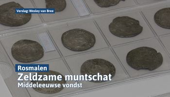 Amateur-archeoloog vindt zeldzame muntschat op akker in Rosmalen