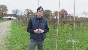 Sjef van Dongen produceert voedsel met bomen om aarde toekomstbestendiger te maken